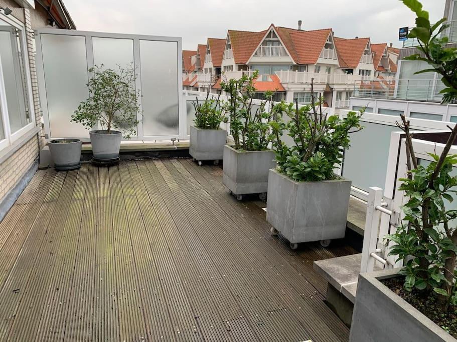 Zoute Penthouse Apartment